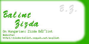 balint zizda business card